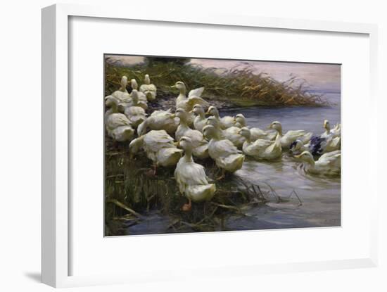 Ducks on the Lakeshore-Alexander Koester-Framed Giclee Print