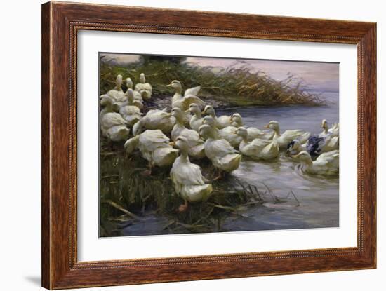 Ducks on the Lakeshore-Alexander Koester-Framed Giclee Print