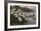 Ducks on the Lakeshore-Alexander Koester-Framed Giclee Print