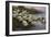 Ducks on the Lakeshore-Alexander Koester-Framed Giclee Print