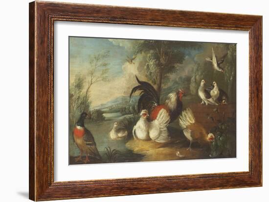 Ducks, Poultry and Doves by a Wall on a River Bank-Marmaduke Cradock-Framed Giclee Print