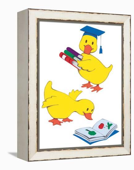 Ducks Reading-Bev Lopez-Framed Stretched Canvas