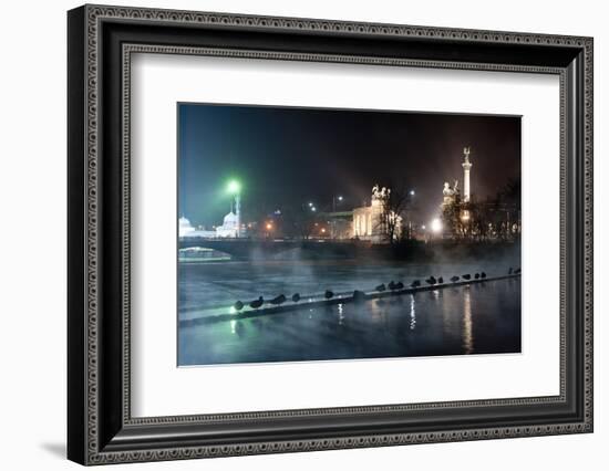 Ducks Silhouetted At Night On Heroes Square, Budapest, July 2009-Milan Radisics-Framed Photographic Print