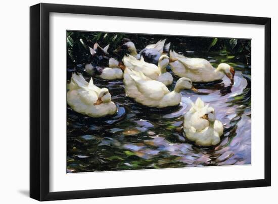 Ducks Swimming in a Sunlit Lake-Alexander Koester-Framed Premium Giclee Print