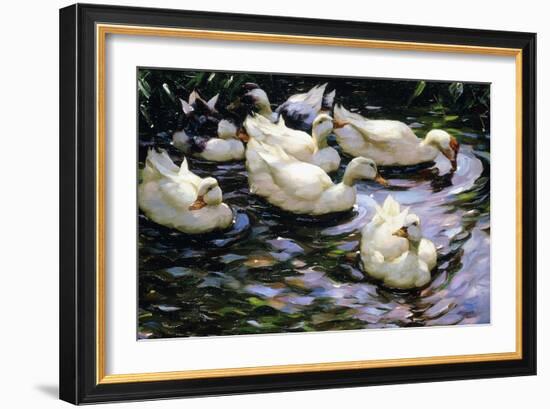 Ducks Swimming in a Sunlit Lake-Alexander Koester-Framed Premium Giclee Print