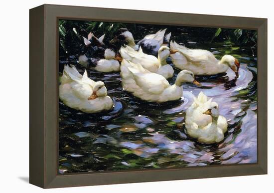 Ducks Swimming in a Sunlit Lake-Alexander Koester-Framed Premier Image Canvas