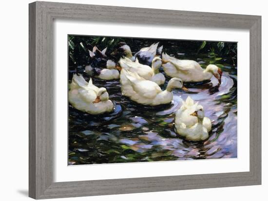 Ducks Swimming in a Sunlit Lake-Alexander Koester-Framed Giclee Print