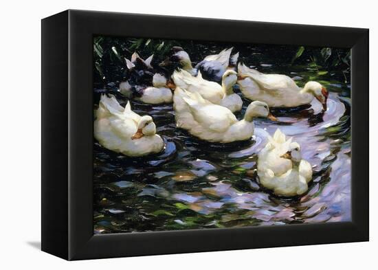 Ducks Swimming in a Sunlit Lake-Alexander Koester-Framed Giclee Print