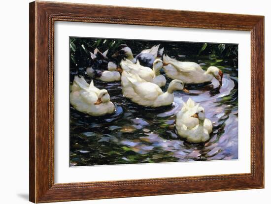 Ducks Swimming in a Sunlit Lake-Alexander Koester-Framed Giclee Print