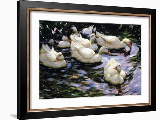 Ducks Swimming in a Sunlit Lake-Alexander Koester-Framed Giclee Print