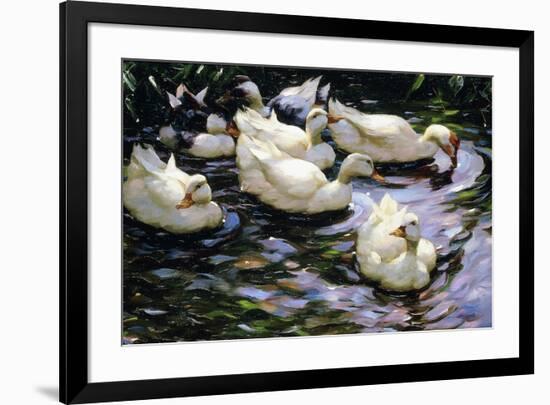 Ducks Swimming in a Sunlit Lake-Alexander Koester-Framed Giclee Print