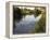 Ducks Swimming in the Worcester and Birmingham Canal, Astwood Locks, Hanbury, Midlands-David Hughes-Framed Premier Image Canvas