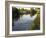 Ducks Swimming in the Worcester and Birmingham Canal, Astwood Locks, Hanbury, Midlands-David Hughes-Framed Photographic Print