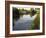 Ducks Swimming in the Worcester and Birmingham Canal, Astwood Locks, Hanbury, Midlands-David Hughes-Framed Photographic Print