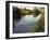 Ducks Swimming in the Worcester and Birmingham Canal, Astwood Locks, Hanbury, Midlands-David Hughes-Framed Photographic Print