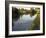 Ducks Swimming in the Worcester and Birmingham Canal, Astwood Locks, Hanbury, Midlands-David Hughes-Framed Photographic Print