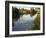 Ducks Swimming in the Worcester and Birmingham Canal, Astwood Locks, Hanbury, Midlands-David Hughes-Framed Photographic Print