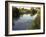 Ducks Swimming in the Worcester and Birmingham Canal, Astwood Locks, Hanbury, Midlands-David Hughes-Framed Photographic Print