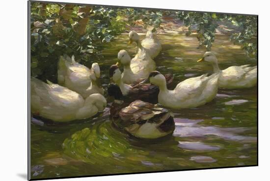 Ducks under Birch Twigs-Alexander Koester-Mounted Premium Giclee Print