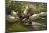 Ducks under Birch Twigs-Alexander Koester-Mounted Premium Giclee Print
