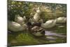 Ducks under Birch Twigs-Alexander Koester-Mounted Giclee Print