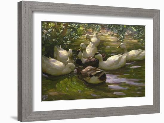 Ducks under Birch Twigs-Alexander Koester-Framed Giclee Print