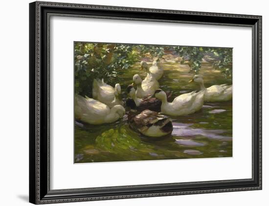 Ducks under Birch Twigs-Alexander Koester-Framed Giclee Print