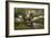 Ducks under Birch Twigs-Alexander Koester-Framed Giclee Print