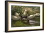 Ducks under Birch Twigs-Alexander Koester-Framed Giclee Print