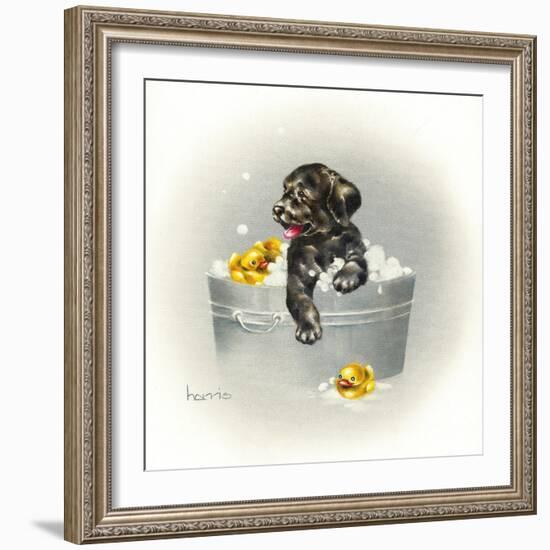 Ducks Unlimited-Peggy Harris-Framed Giclee Print