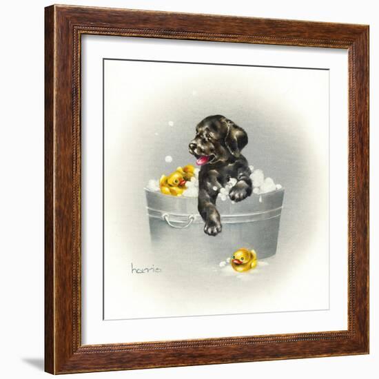 Ducks Unlimited-Peggy Harris-Framed Giclee Print