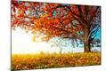 Photographic Print