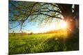 Photographic Print