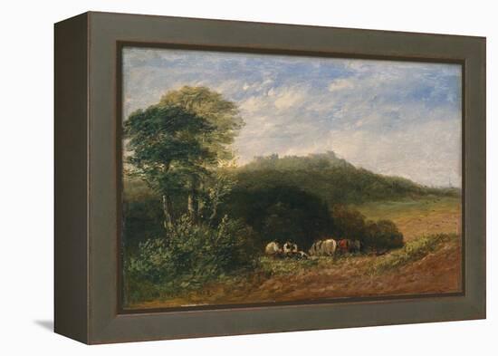 Dudley Castle; 1853 (Oil on Canvas)-David Cox-Framed Premier Image Canvas