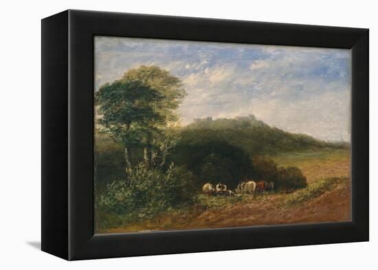 Dudley Castle; 1853 (Oil on Canvas)-David Cox-Framed Premier Image Canvas