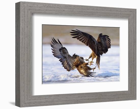 Duel-Ivan Kluciar-Framed Photographic Print