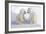 Dueling Polar Bear Cubs-Howard Ruby-Framed Photographic Print