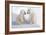 Dueling Polar Bear Cubs-Howard Ruby-Framed Photographic Print