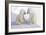 Dueling Polar Bear Cubs-Howard Ruby-Framed Photographic Print