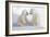 Dueling Polar Bear Cubs-Howard Ruby-Framed Photographic Print