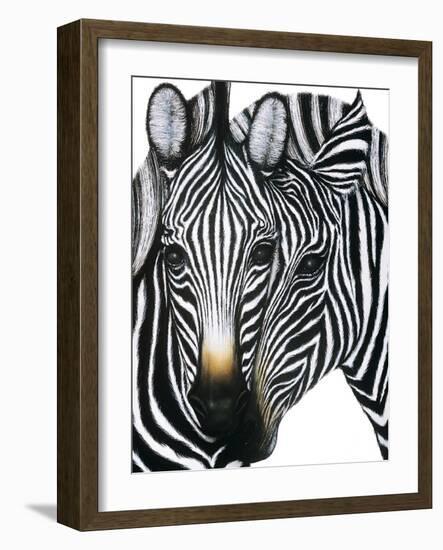 Dueling Zebras-unknown unknown-Framed Art Print