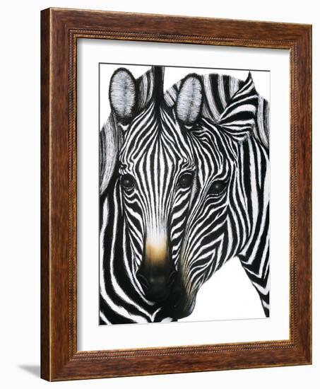 Dueling Zebras-unknown unknown-Framed Art Print
