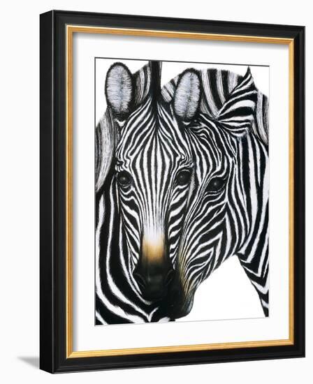 Dueling Zebras-unknown unknown-Framed Art Print