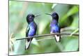 Photographic Print