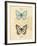 Duet Papillon-Chad Barrett-Framed Art Print