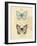 Duet Papillon-Chad Barrett-Framed Art Print