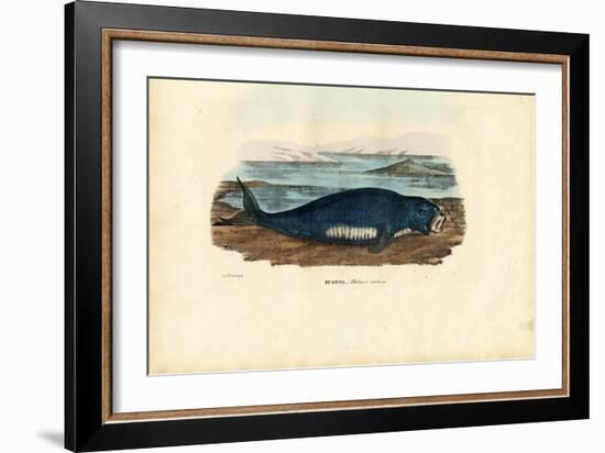 Dugong, 1863-79-Raimundo Petraroja-Framed Giclee Print