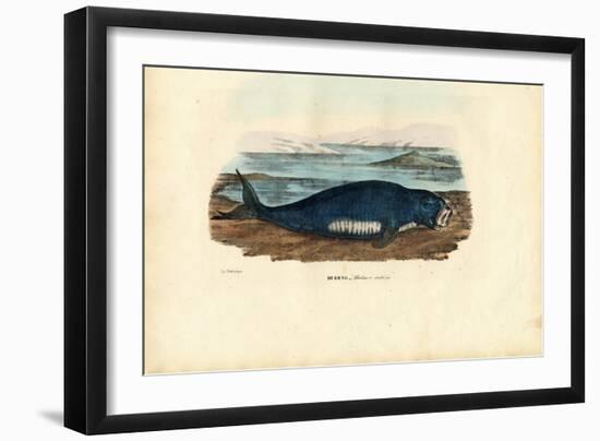 Dugong, 1863-79-Raimundo Petraroja-Framed Giclee Print