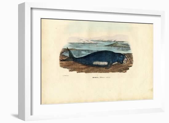 Dugong, 1863-79-Raimundo Petraroja-Framed Giclee Print