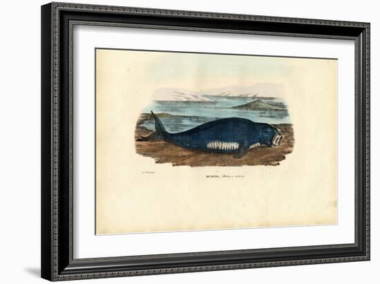 Dugong, 1863-79-Raimundo Petraroja-Framed Giclee Print